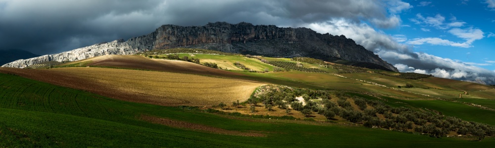 Sunlit Mountain Fields by Max Witjes — canvas wall art