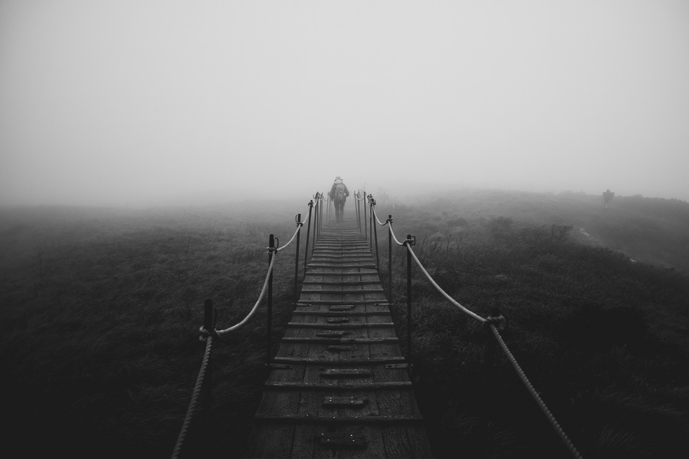 Solitary Foggy Path by Koji Sugimoto — canvas wall art