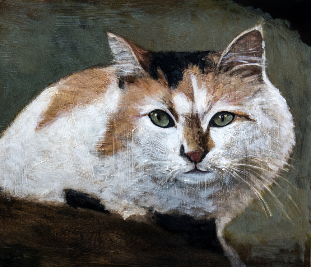 Watchful Calico Cat by Claire Lerner — canvas wall art