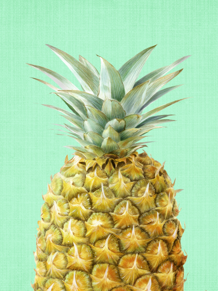 Fresh Tropical Pineapple by Lila & Lola — canvas wall art