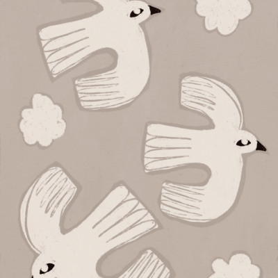 Peaceful White Birds Flying