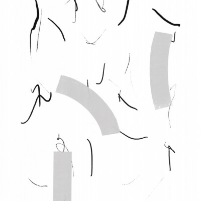 Fluid Black Lines And Soft Grey Shapes