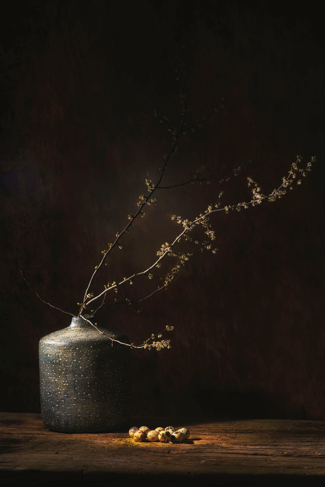 Moody Botanical Still Life by Saskia Dingemans — canvas wall art