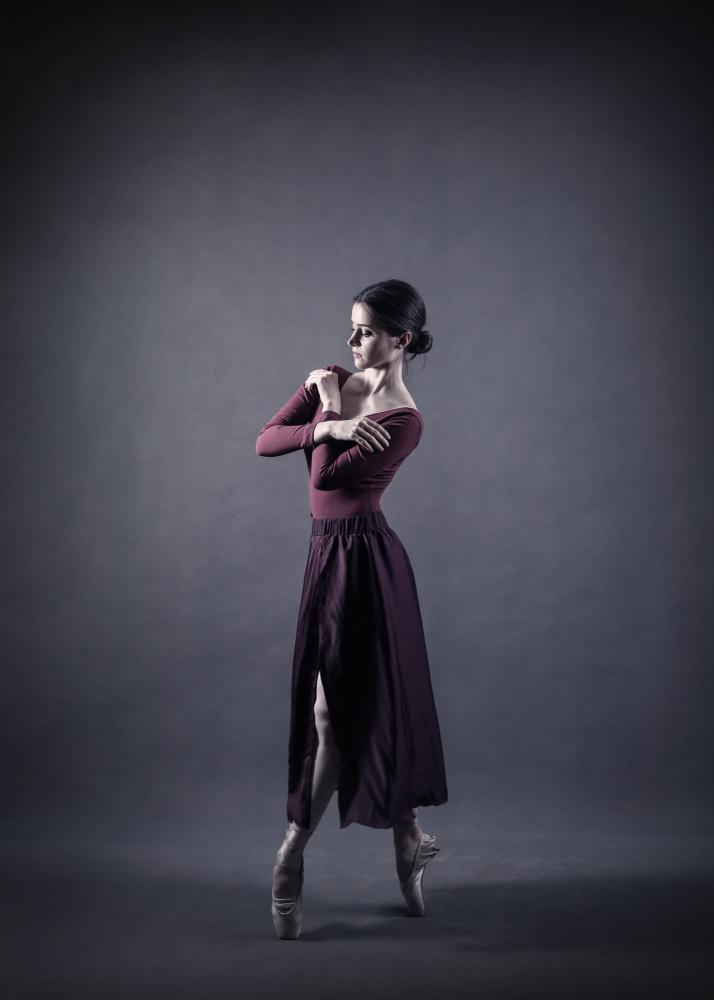 Graceful Ballerina Pose by Moein Hasheminasab — canvas wall art