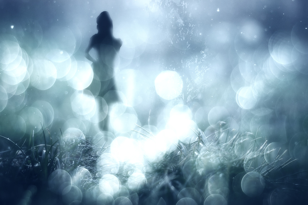 Ethereal Mist Silhouette by Stefan Eisele — canvas wall art