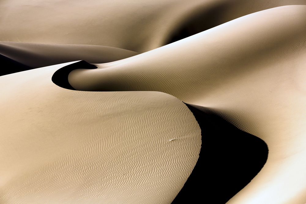 Shadowed Desert Curves by Mohammadreza Momeni — canvas wall art