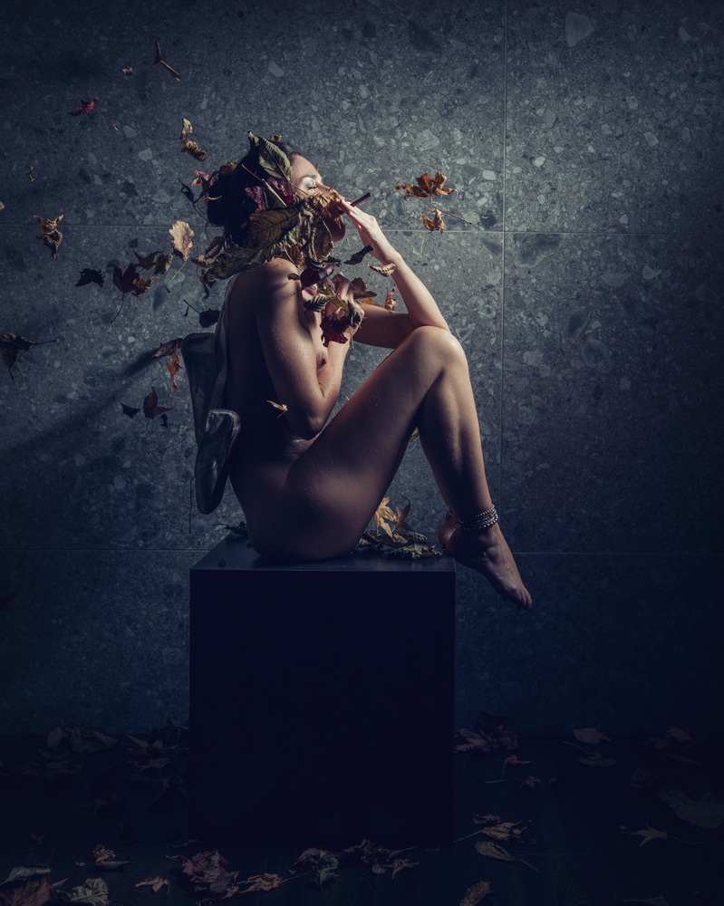 Autumn Leaves Nude by gNo — canvas wall art