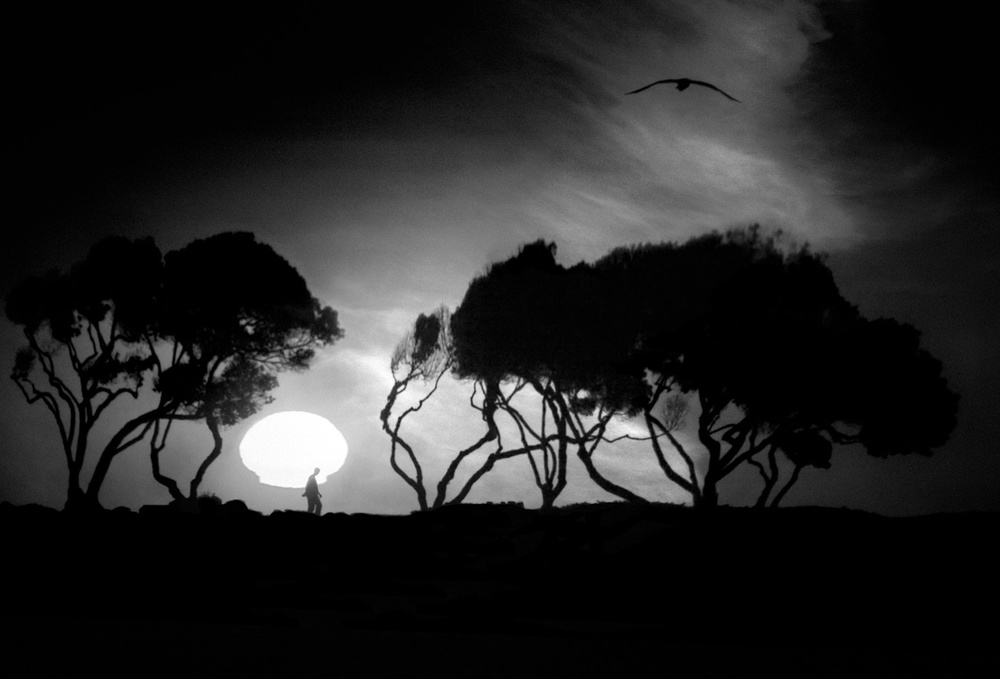 Solitary Figure Sunset by Tina Kim — canvas wall art