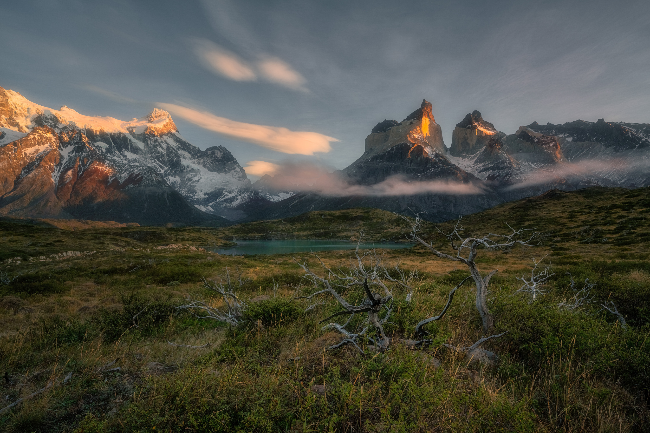 The beauty of the wilderness by LINGLING GUAN