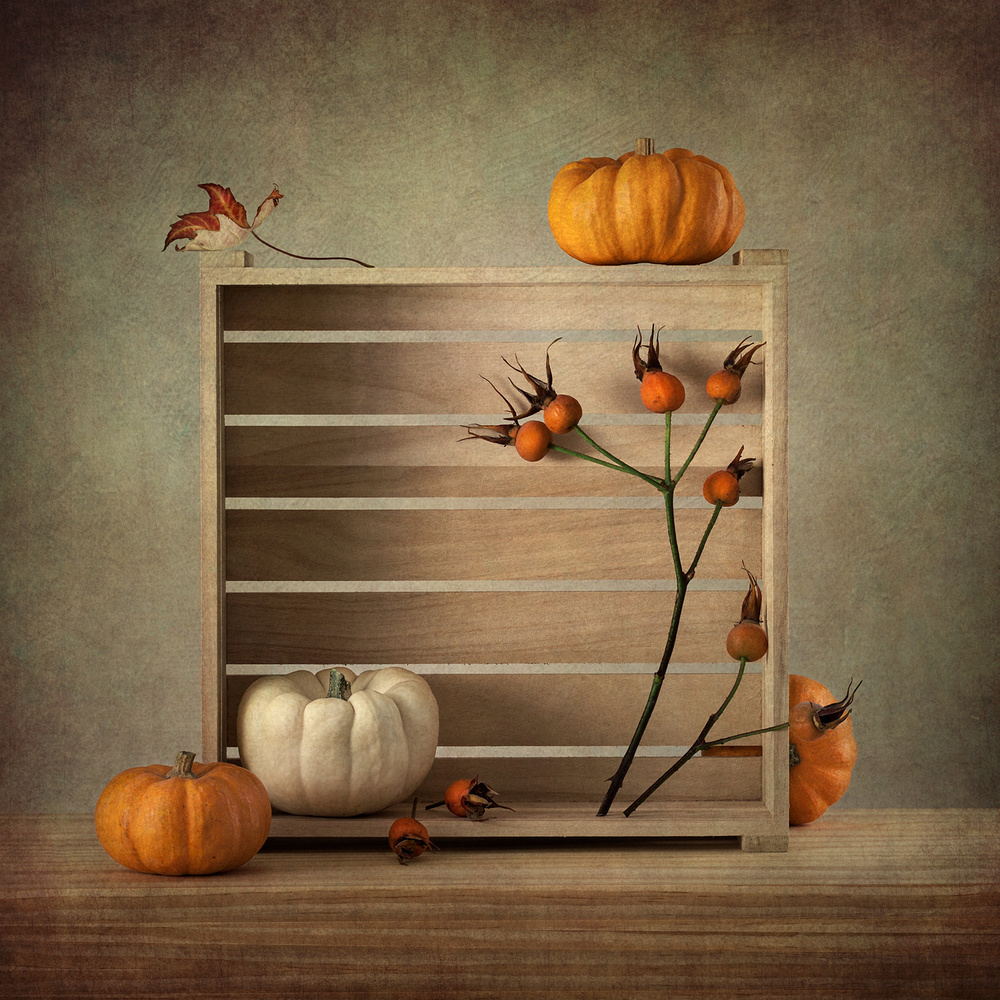 Autumn Harvest Still Life by Inna Karpova — canvas wall art