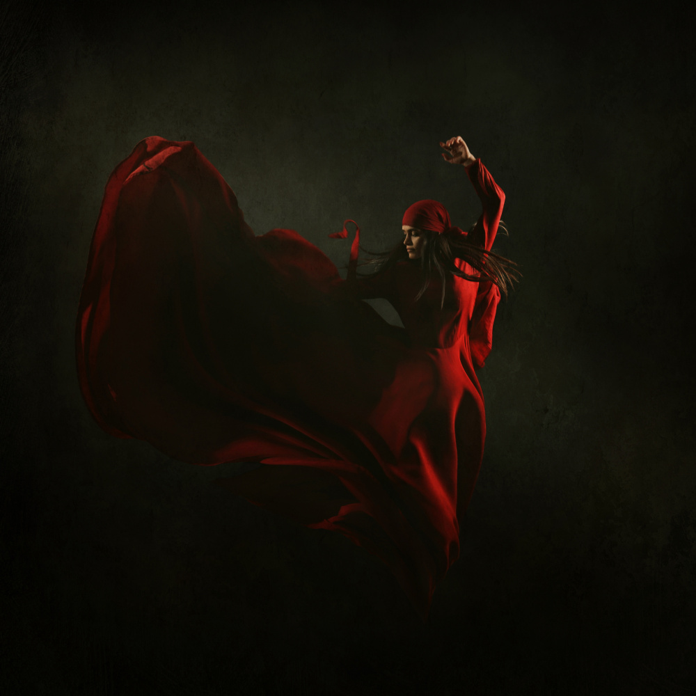 Dynamic Red Flow by Moein Hasheminasab — canvas wall art