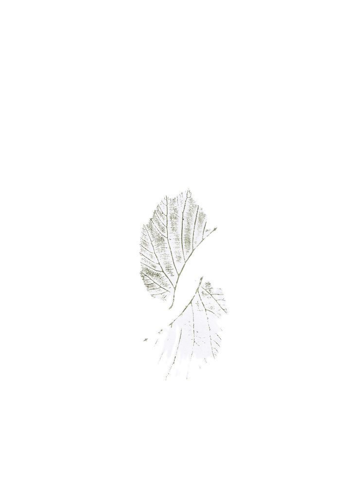 Delicate Leaf Veins by Maira Ribena — canvas wall art