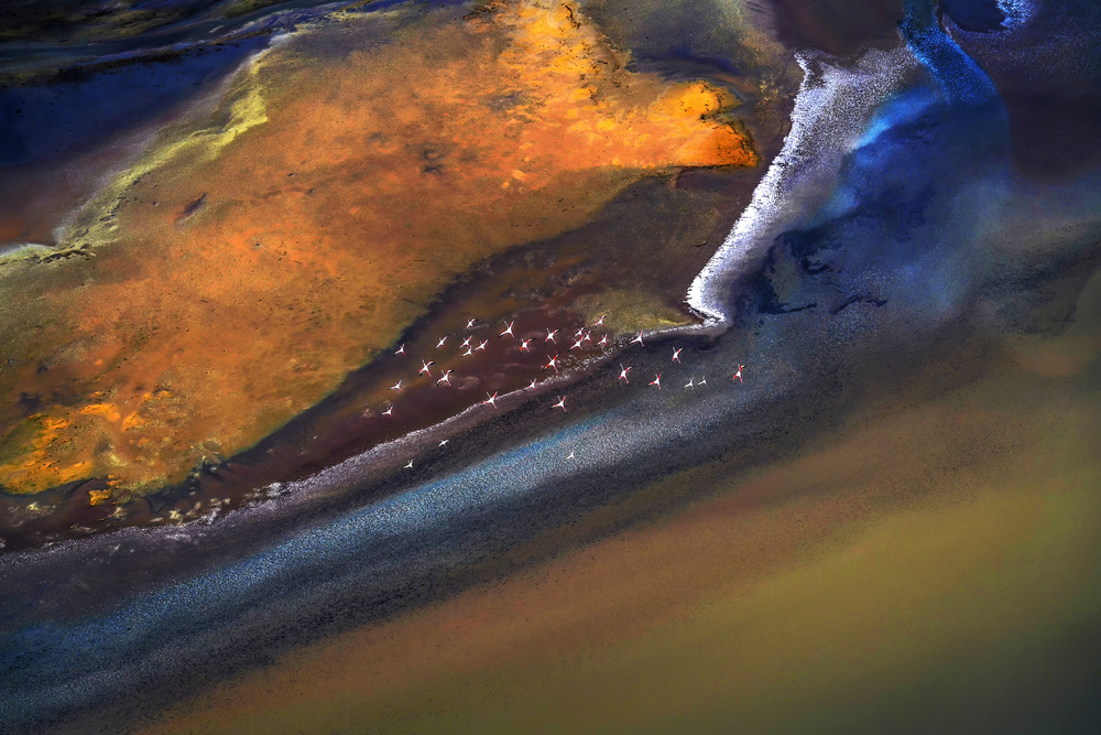 Abstract Lake Flamingos by Raymond Ren Rong Liu — canvas wall art
