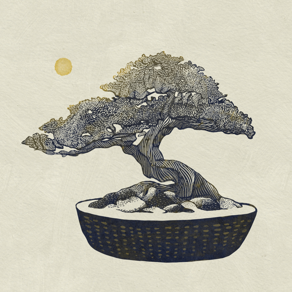 Bonsai Tree by Katie O'Shea — canvas wall art
