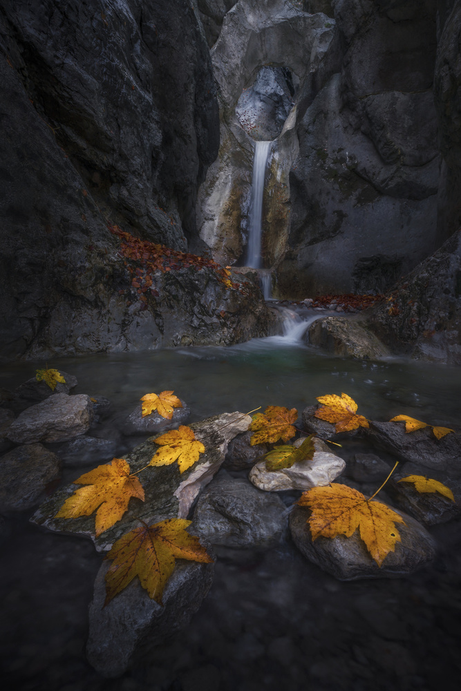 Autumn Leaves Waterfall Canyon by Nina Pauli — canvas wall art