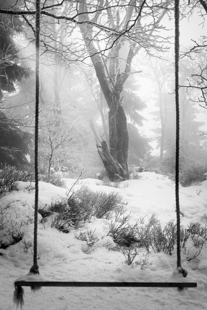 Winter Forest Swing by Pawel Kado — canvas wall art