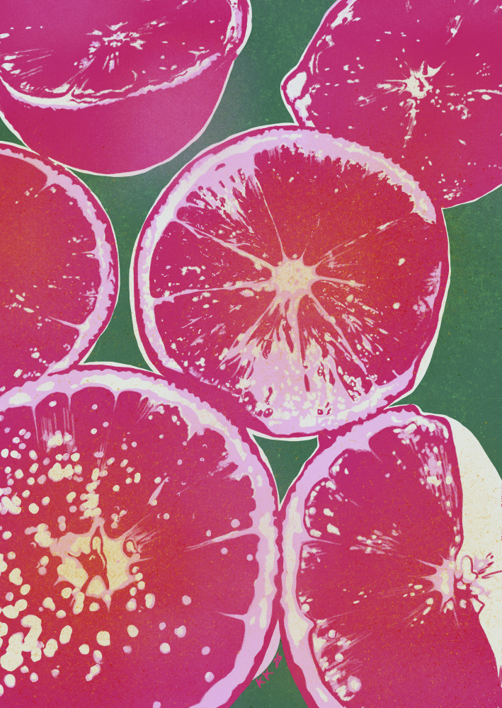 Pink Citrus Slices by Katariina Kosunen — canvas wall art