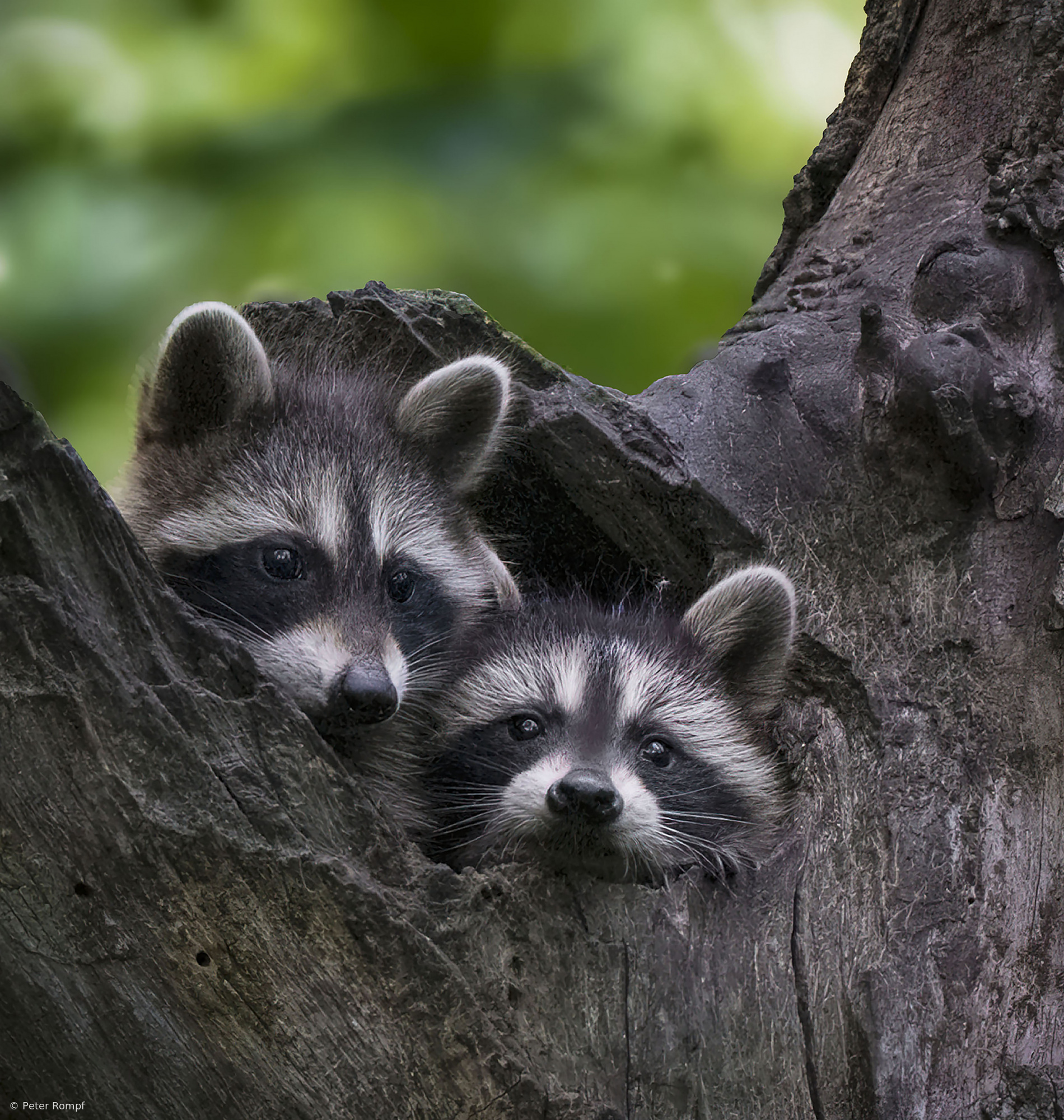 Seeing a new world! by Peter Rompf