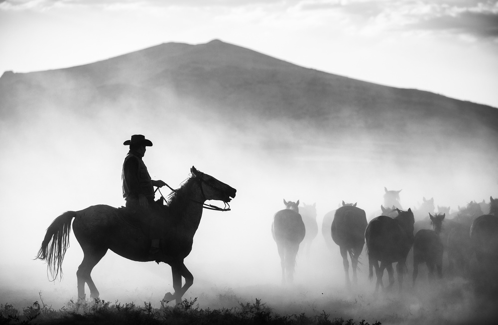 Cowboy Herding Horses by Yavuz Pancareken — canvas wall art