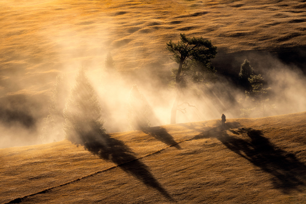 Misty Golden Morning by Marian Kuric QEP — canvas wall art