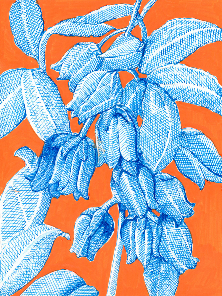 Vibrant Blue Botanicals by Katie O'Shea — canvas wall art