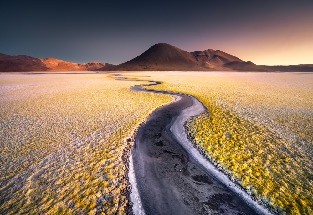 Winding Yellow Valley by Karol Nienartowicz — canvas wall art
