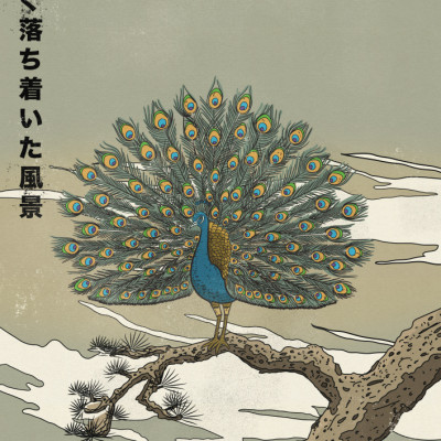 Japanese Peacock on Branch