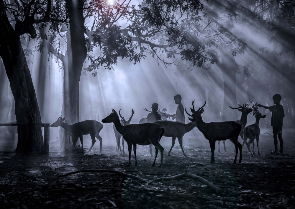Children And Forest Deer by Agus Adriana — canvas wall art