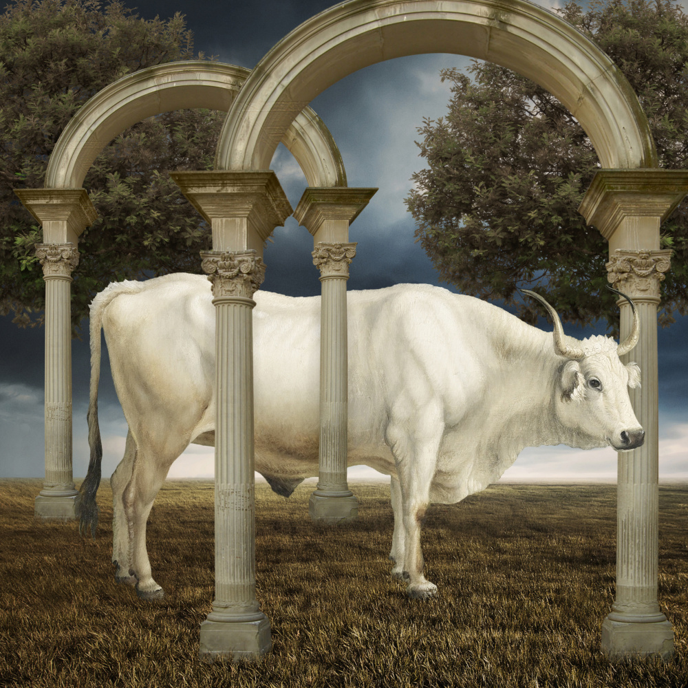 Serene White Bull Arches by Marja van den Hurk — canvas wall art