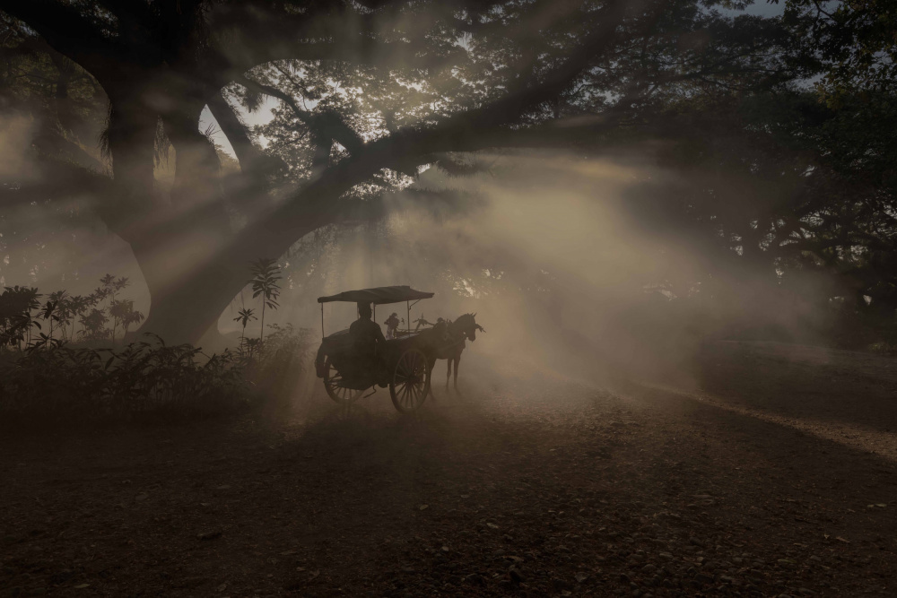 Sun Rays Horse Cart by Agus Adriana — canvas wall art
