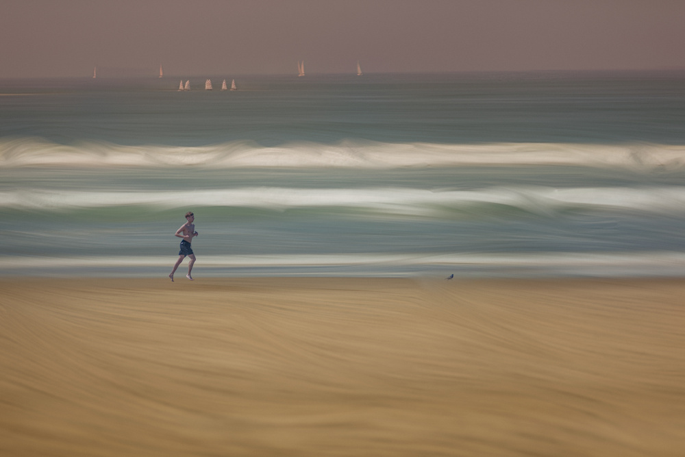 Beach Runner Motion by Molly Fu APA — canvas wall art
