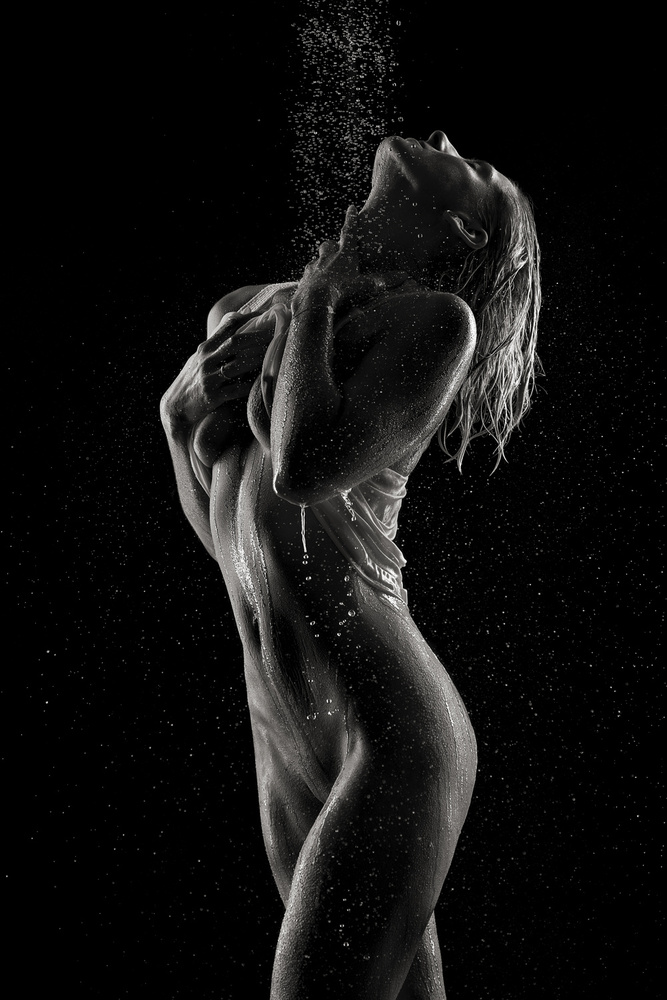 Sensual Water Silhouette by Shades and Light — canvas wall art