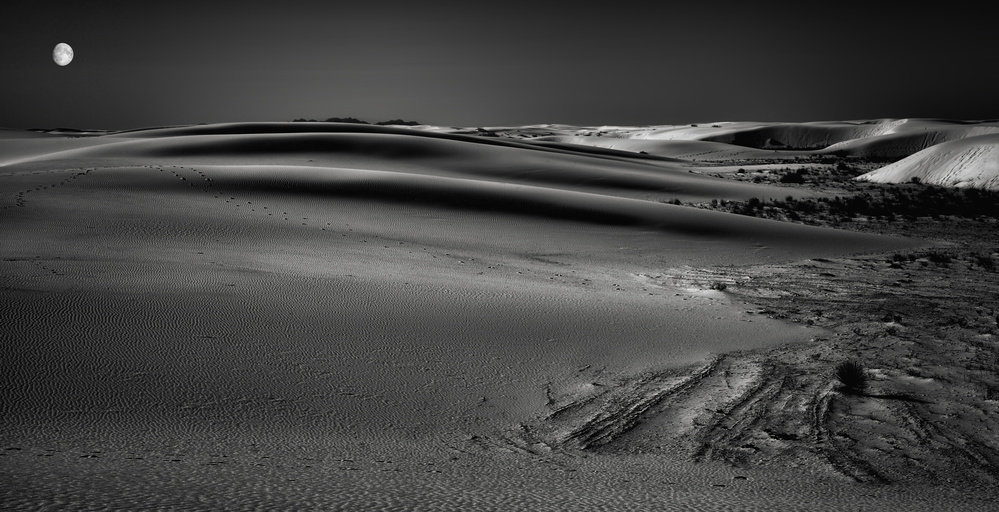 Moonlit Desert Dunes by Yvette Depaepe — canvas wall art