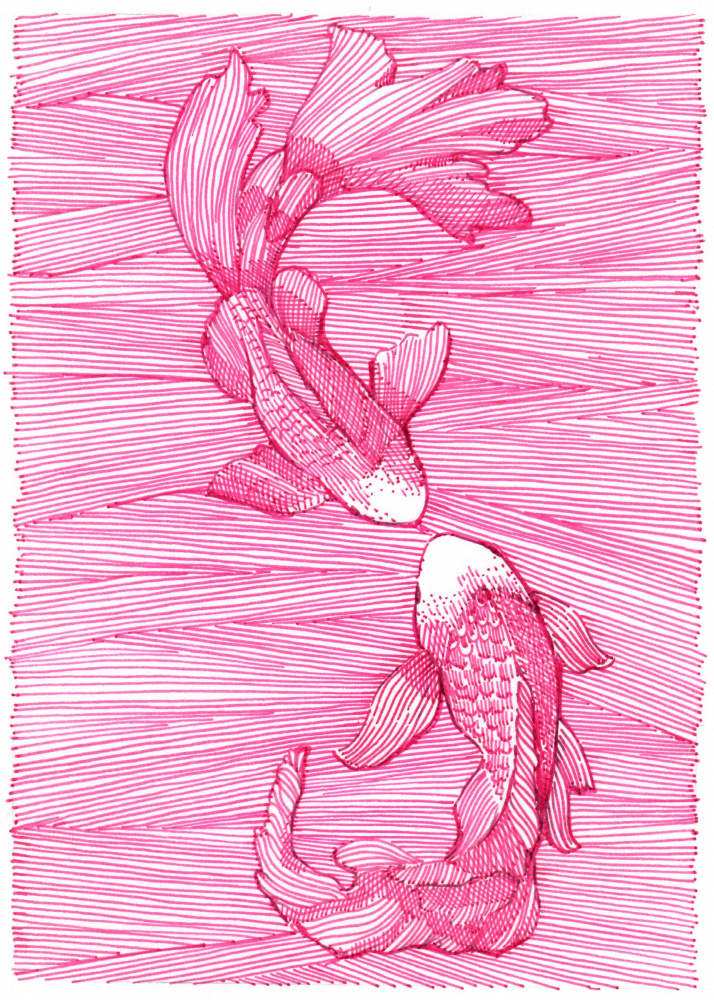 Pink Koi Dance by Katie O'Shea — canvas wall art