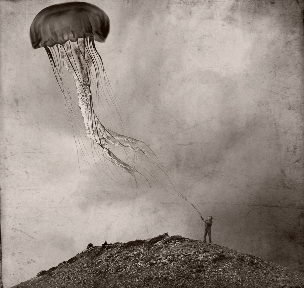 Surreal Jellyfish Kite by Jeffrey Hummel — canvas wall art