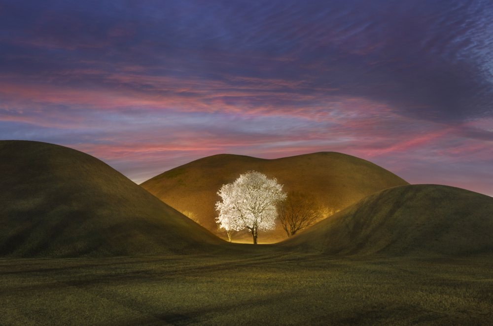 Ancient Mounds Glowing Tree by Jaeyoun Ryu — canvas wall art