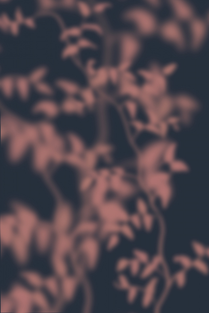 Serene Leaf Shadows by THE MIUUS STUDIO — canvas wall art