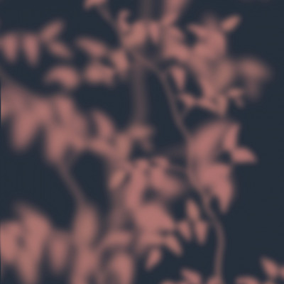 Serene Leaf Shadows