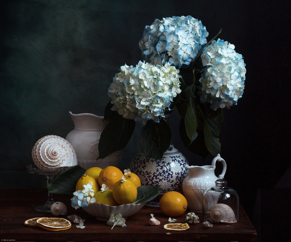 Blue Hydrangeas and Lemons by Alina Lankina — canvas wall art