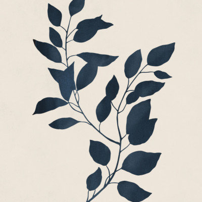 Botanical Silhouette 2