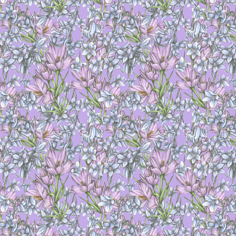 Gentle Lavender Blooms by Cecilia Battaini — canvas wall art