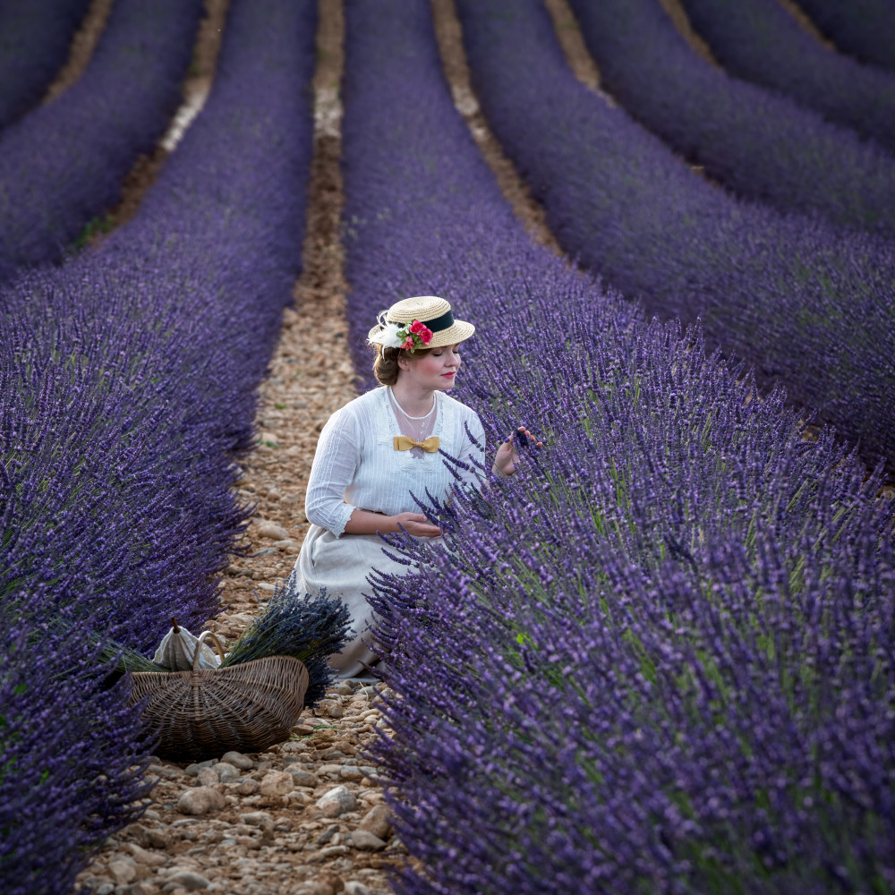 Lavender Field Woman by Marco Galimberti — canvas wall art