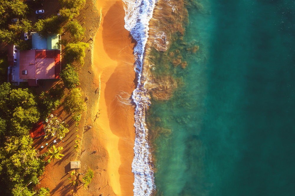 Vibrant Tropical Beach Aerial by Jean Claude Castor — canvas wall art
