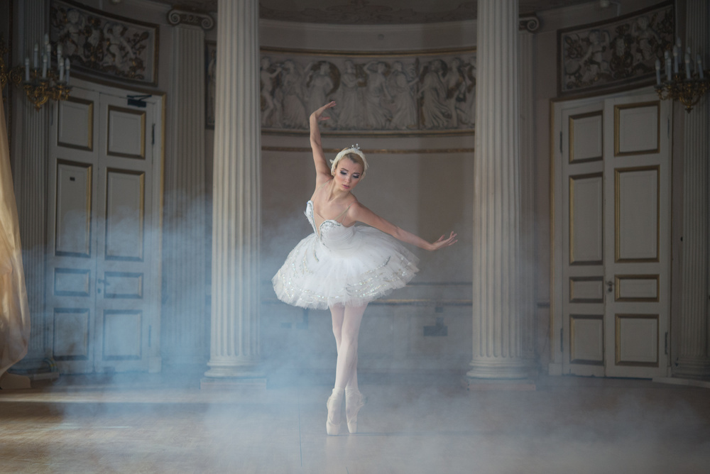 Elegant Ballerina in Smoke by Michal Greenboim — canvas wall art