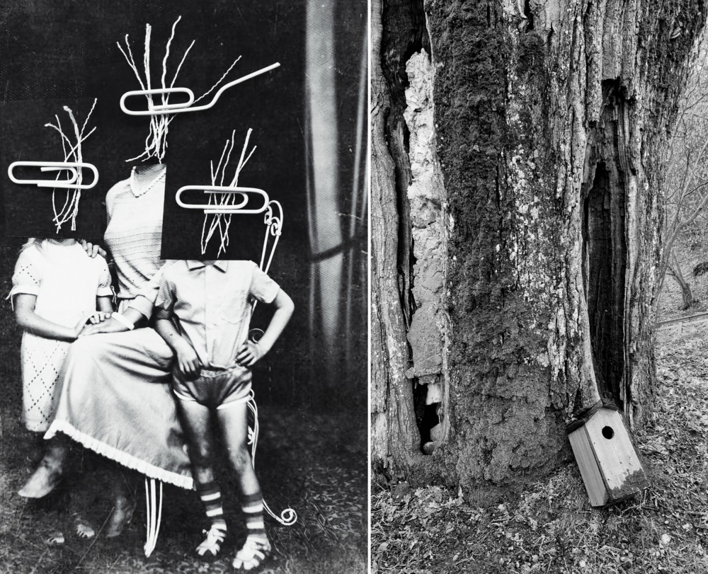 Conceptual Family Diptych by Ingrida Urbonavičienė — canvas wall art