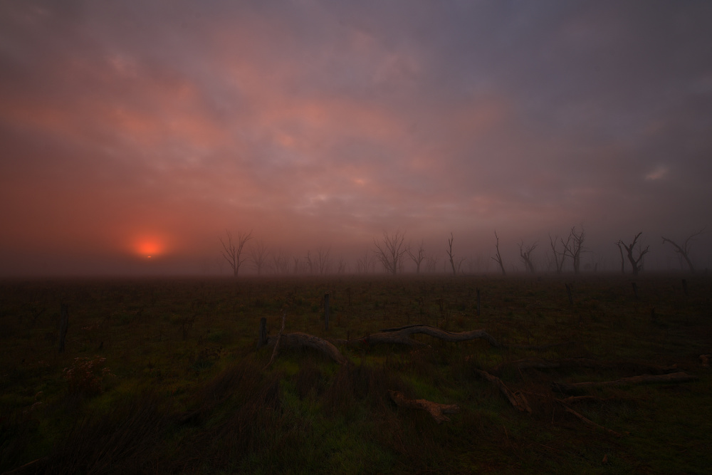 Misty Field Sunset by Zhaonian Zhou — canvas wall art