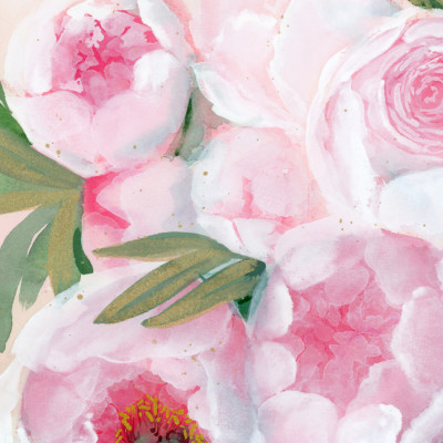 Blush Pink Peonies