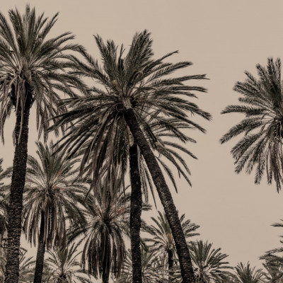 Sicilian Memories 15