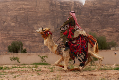 Walid Camel Rider Camel Rider Beneath the Cliffs of Wadi Rum by Ali Abu Ras