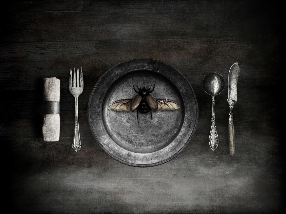 Unsettling Beetle Meal by Jeffrey Hummel — canvas wall art